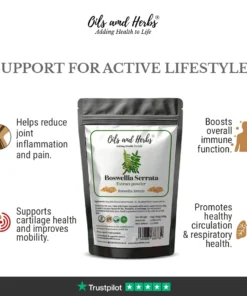 Alternative view of High Strength Boswellia Serrata Extract Powder 5:1- 60 % Boswellic Acid