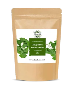 Organic Ginkgo bilboa Extract Powder 10:1