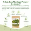 MORINGA POST contains2