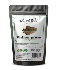 High Strength Phellinus igniarius Extract powder