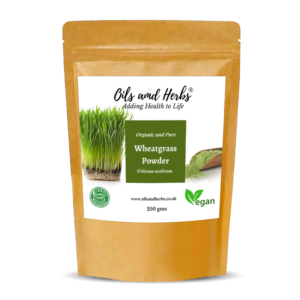 Clean Organic Wheatgrass Powder for Juice
