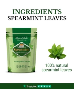 Spear mint leaf _ingredient